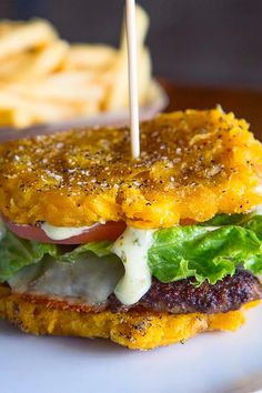 a close up of a sandwich on a plate with fries