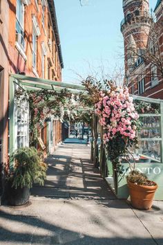 an alleyway with potted plants and flowers on the sidewalk in front of brick buildings