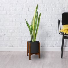 a plant in a black pot next to a chair with a yellow towel on it