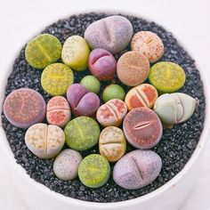 a white bowl filled with lots of different colored rocks