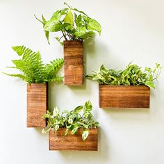 three wooden planters with plants in them on a white wall mounted to the side of a wall