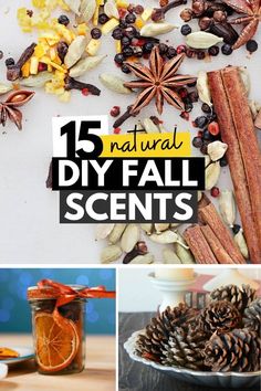 the top ten natural diy fall scents that you can use in your home