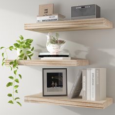 two wooden shelves with books and plants on them, one shelf has a plant in it