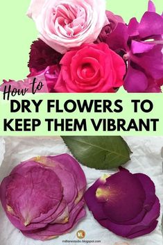 how to dry flowers to keep them vibrant