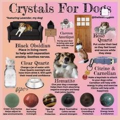 a poster with different types of crystals for dogs