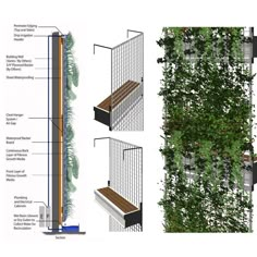 the diagram shows different types of plants growing on walls