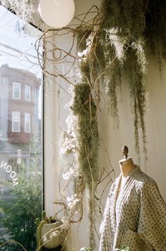 an old fashion dress is displayed in front of a window with moss growing on it