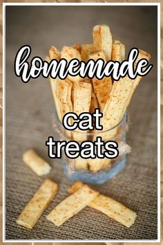 Looking for new cat treats ideas? Check out our list of 9 purr-fect cat treats that your feline friend will love! From homemade to store-bought options, we've got tips to keep your kitty happy and healthy. Try these tasty snacks today! Kitten Recipes