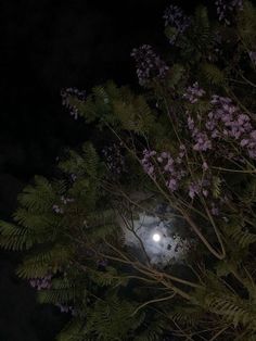 the full moon shines through the branches of trees in the night sky with purple flowers