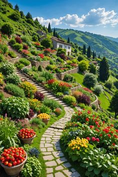 the garden is full of colorful flowers and plants, along with steps leading up to it