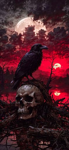 a crow sitting on top of a skull in front of a full moon and red sky