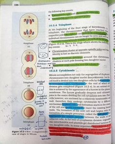 an open book with diagrams and text on the page, showing different types of cells