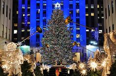 a large christmas tree in the middle of a city