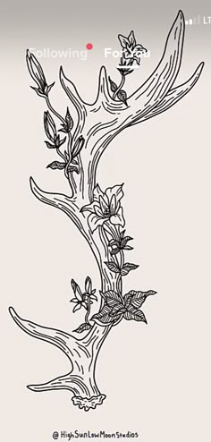 a drawing of a tree branch with flowers on it