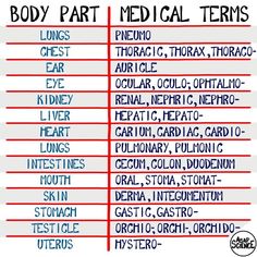 the body part medical terms are shown in red and blue text on a white background