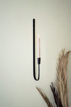 a wall mounted hook with a lit candle on it next to some dead grass and a plant