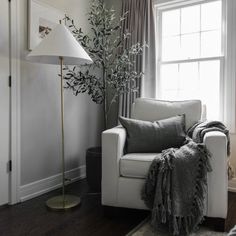 a living room with a white chair and a tree in the corner next to a window