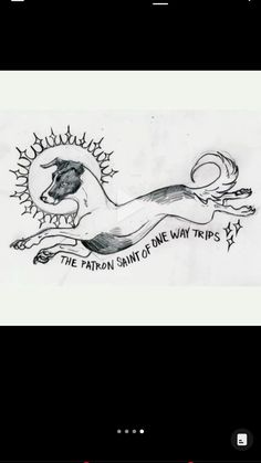 a drawing of a dog with the caption'the patron saint of my trip '