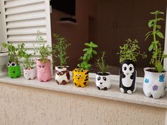 a window sill filled with potted plants and owls