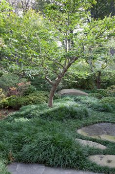 a stone path surrounded by green grass and trees