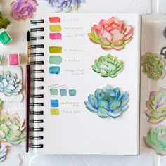 an open notebook with watercolors and succulents on it