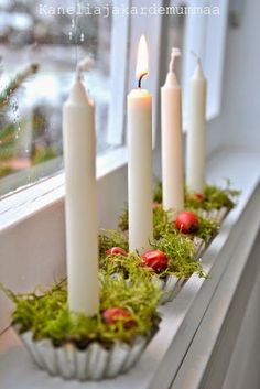 some candles are sitting in a window sill with moss growing on the windowsill