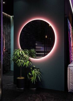 a round mirror on the wall next to a potted plant in front of it