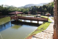 a wooden bridge over a small pond in a park