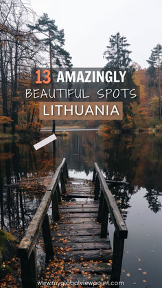 Beautiful sights and points of interest in Lithuania for travelers to visit Curonian Spit, Trakai Castle, Hill Of Crosses, Breathtaking Nature, Beach Towns, Cobblestone Streets, Beach Town, Best Places To Travel, Unesco World Heritage Site