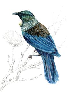 a drawing of a blue bird sitting on a tree branch with white flowers in the background