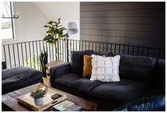 a living room filled with furniture and a potted plant on top of a table