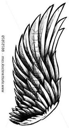 an ink drawing of a wing on a white background