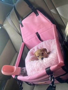 a small dog is sitting in a pink pet bed inside the back seat of a car