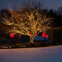 a tree with red and white stars on it in the snow