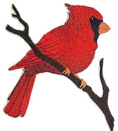 a red bird sitting on top of a tree branch