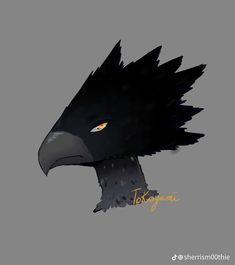 an illustration of a black bird with yellow eyes