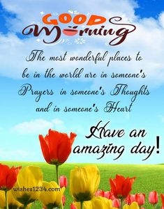 flowers with the words good morning on it and an image of a field full of tulips