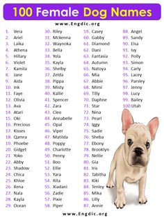 a small dog is standing in front of a list of names for female and male dogs