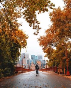 a bicyclist rides down an empty street in the fall with leaves on the ground