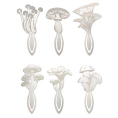 four different types of mushrooms on a white background