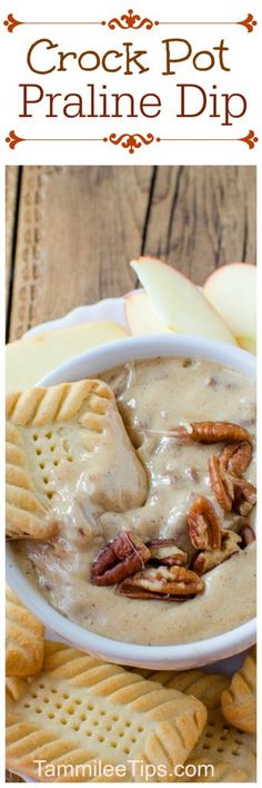 crock pot pralie dip with crackers on the side