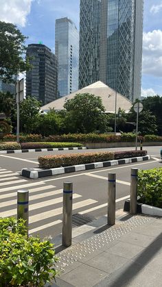 an empty city street with tall buildings in the backgrouds and trees on either side