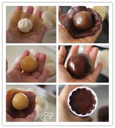 there are four pictures of different types of chocolates in the palm tree, including one with an egg