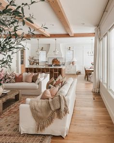 a living room filled with furniture and lots of windows