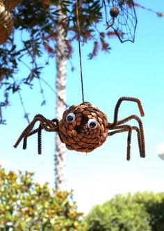 a spider made out of pine cones hanging from a tree with eyes drawn on it