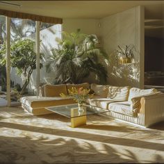 a living room filled with furniture and lots of plants on the windows sill in front of it