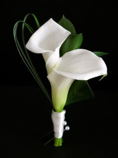 two white calla lilies in a vase on a black background with green stems