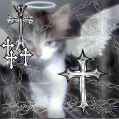 a cat sitting in front of a cross