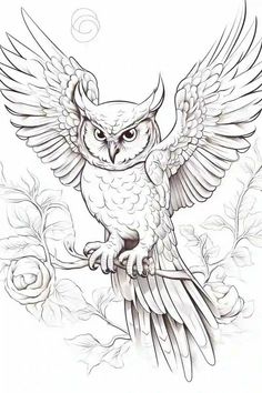 an owl sitting on top of a tree branch with wings spread out and eyes open