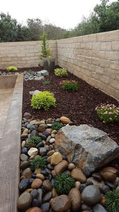 a garden with rocks and plants in it